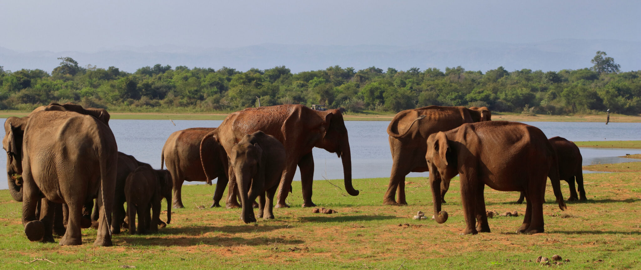 Geschiedenis Sri Lanka | Veelzijdig Sri Lanka