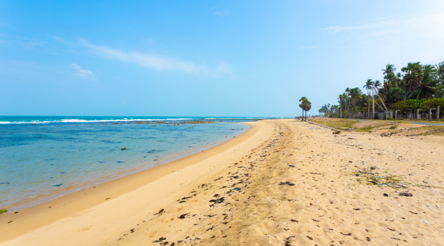 jaffna