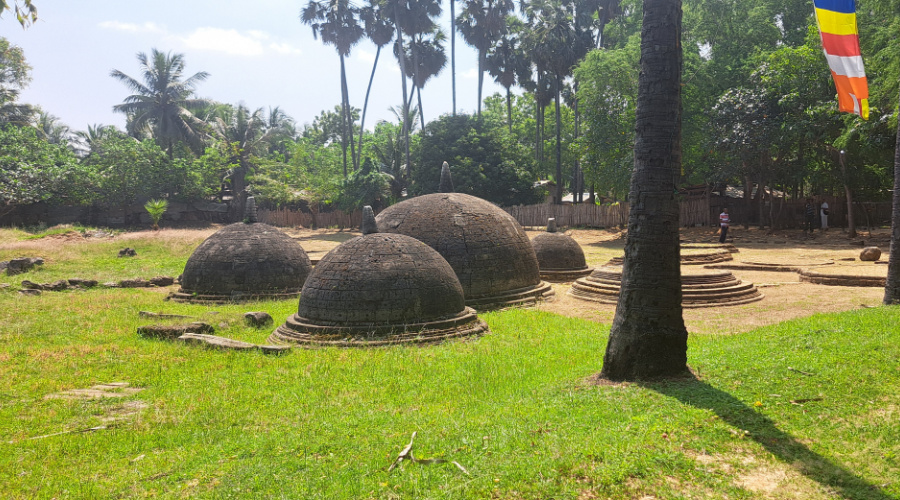 jaffna