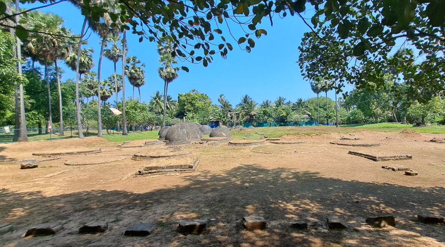 jaffna