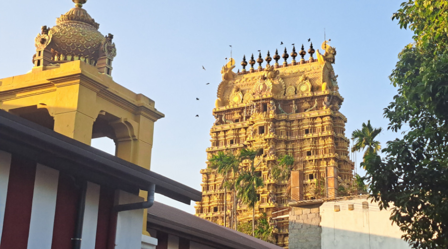 jaffna